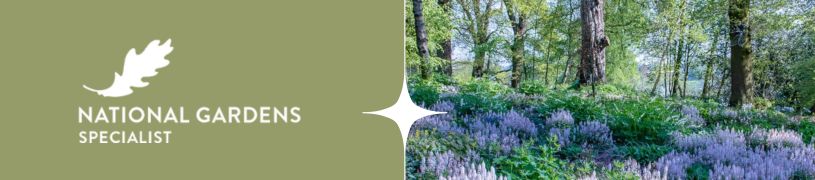 Picture of Head Gardener